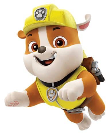 boeren Gloed Behandeling Paw Patrol namen pups | Hondennamen.nl