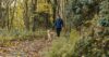 hondenwandeling