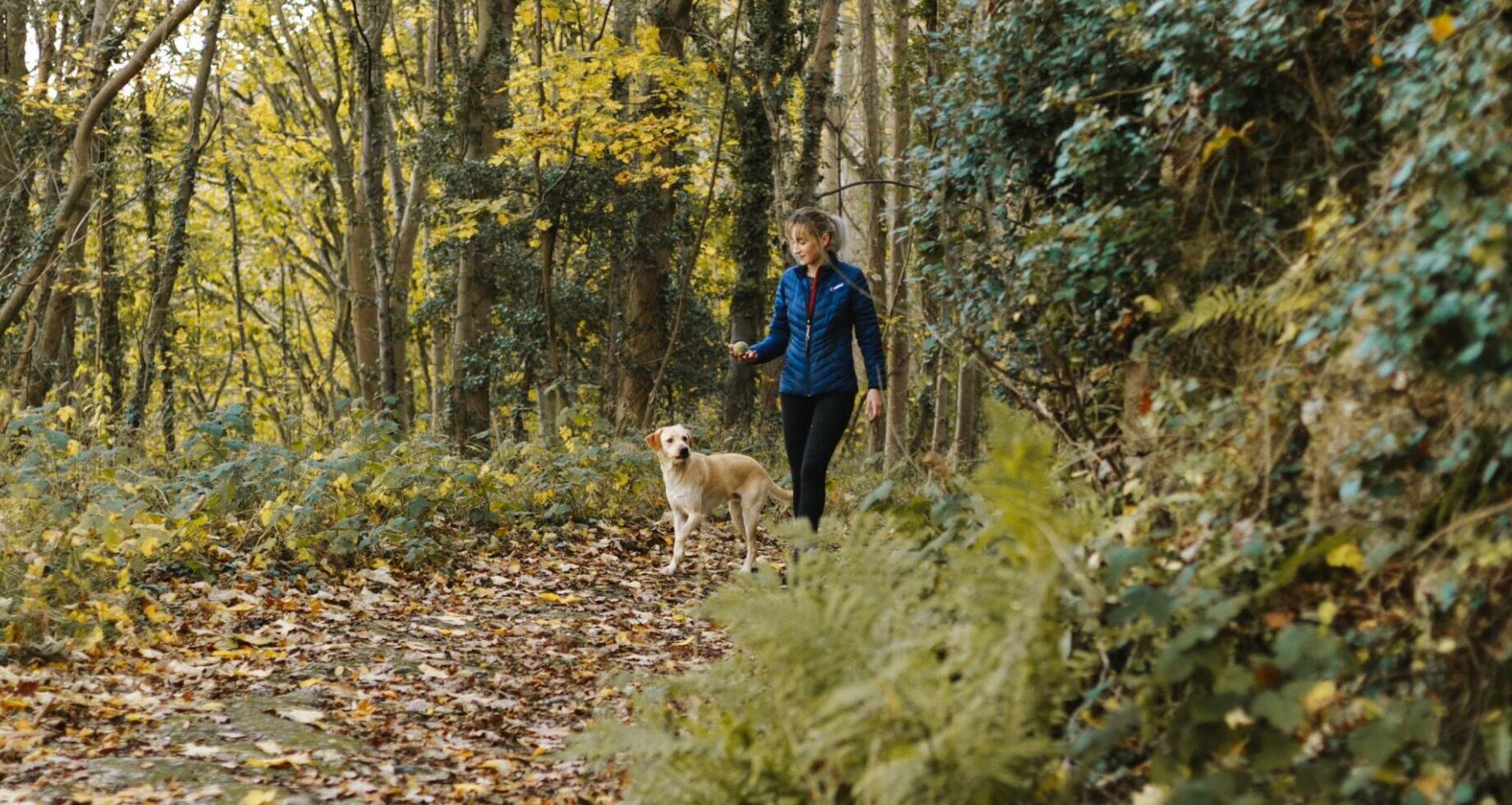 hondenwandeling