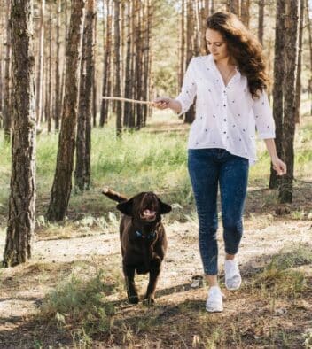 met de hond op vakantie