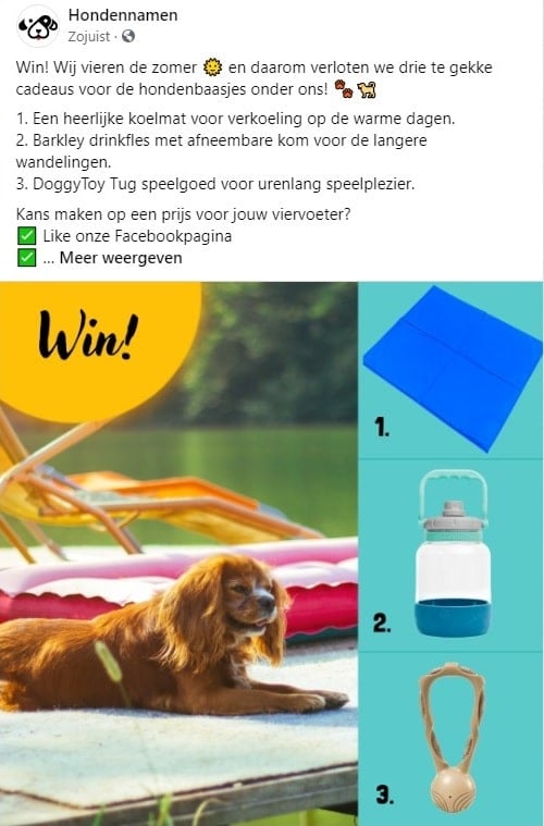 Zomerse Winactie hondennamen.nl