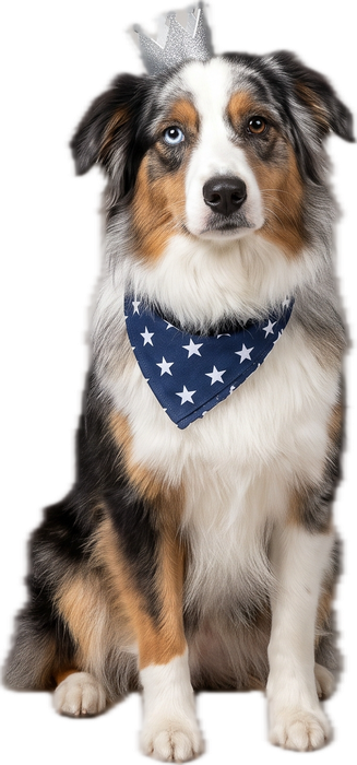 Hond bij speciale hondennamen