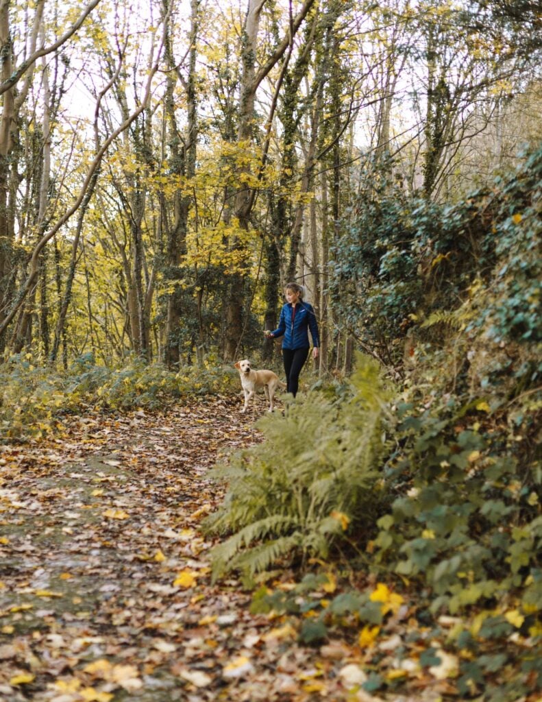 hondenwandeling