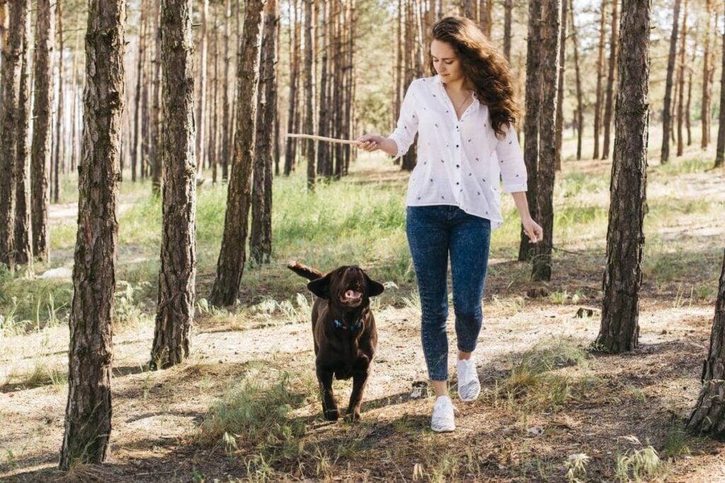 Met je hond op vakantie: handige tips voor een zorgeloze trip