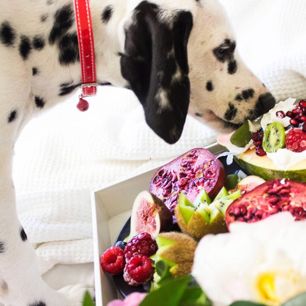 pup fruit eten