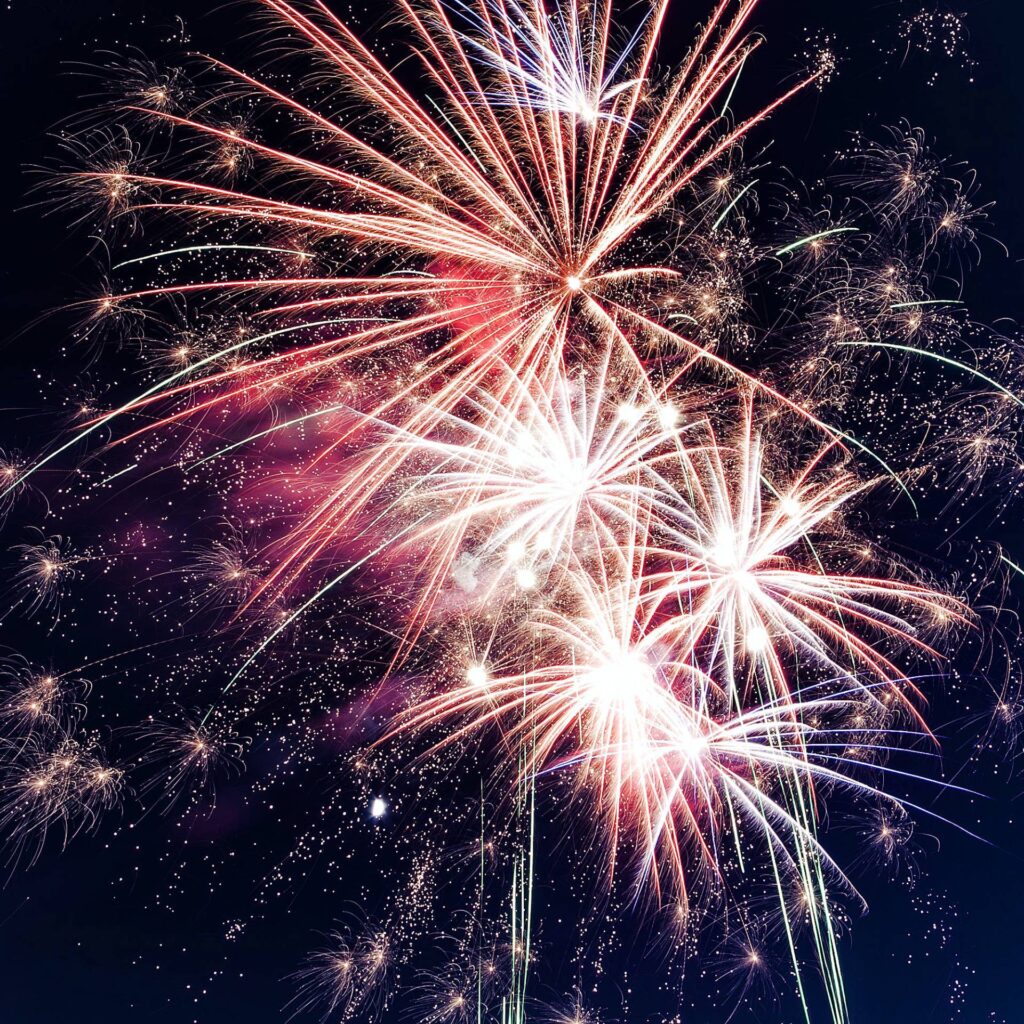 vuurwerk honden